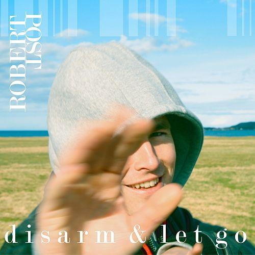 Pochette de Disarm & Let Go