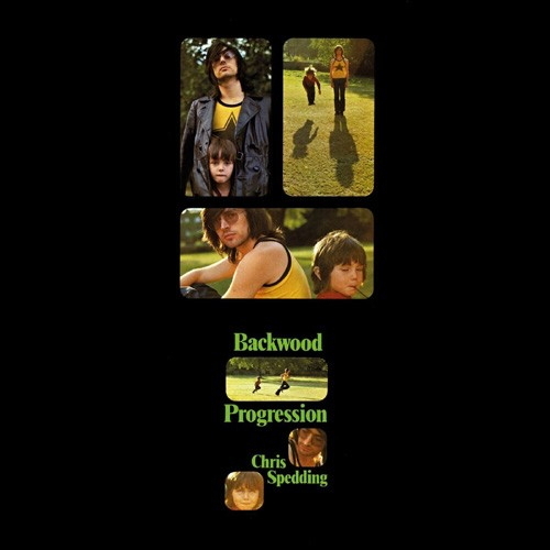 Pochette de Backwood Progression