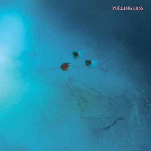 Pochette de High Bias
