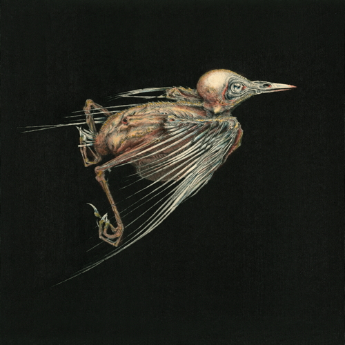 Pochette de Meshes Of Voice