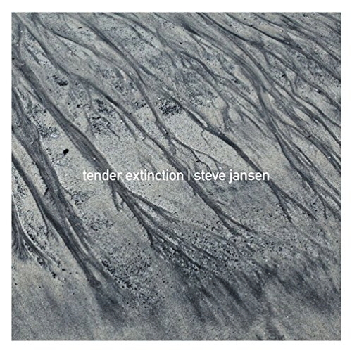 Pochette de Tender Extinction