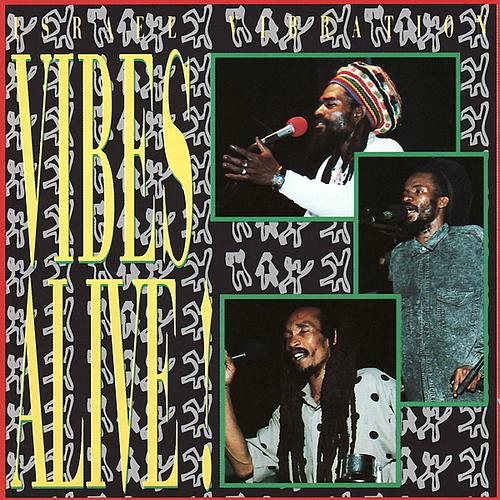 Pochette de Vibes Alive