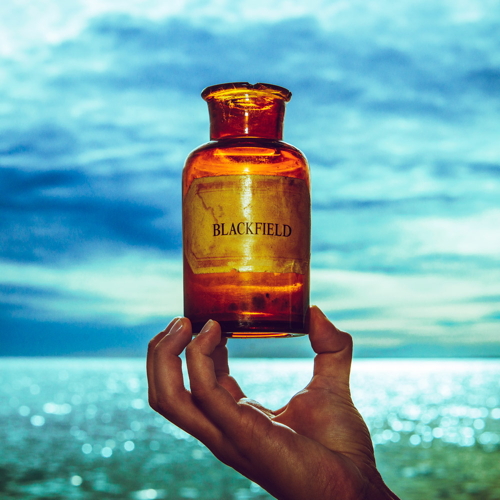 Pochette de Blackfield V