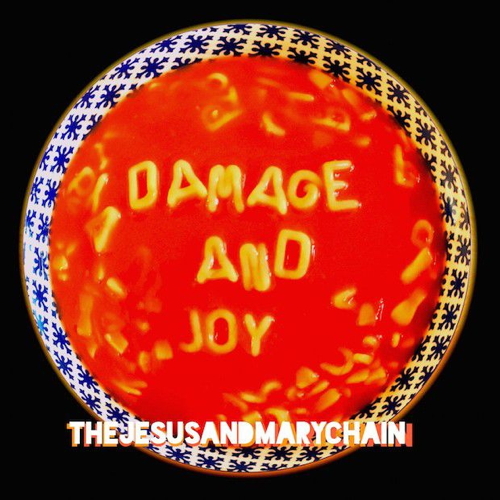 Pochette de Damage And Joy