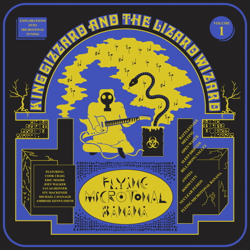 Pochette de Flying Microtonal Banana