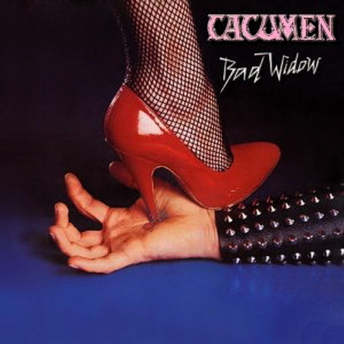 Pochette de Bad Widow