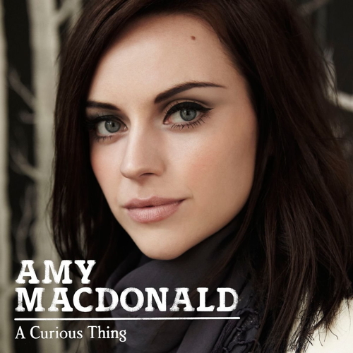 Pochette de A Curious Thing
