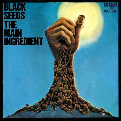 Pochette de Black Seeds