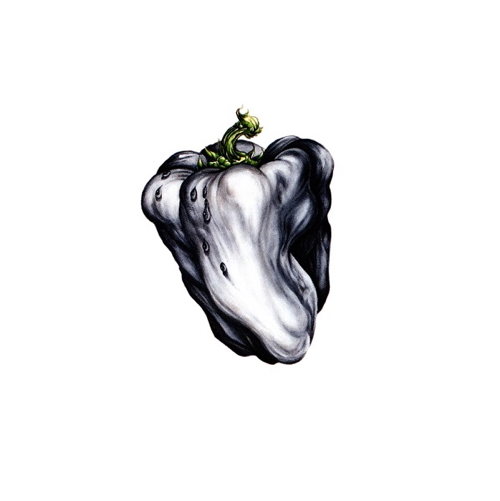 White Pepper