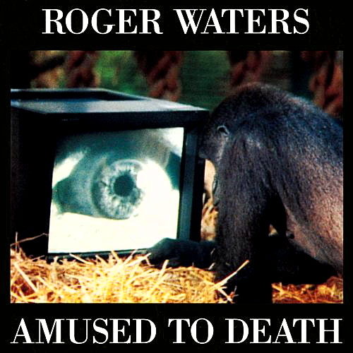 Pochette de Amused To Death