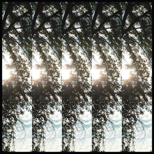 Pochette de Dialectic Of Ignorance