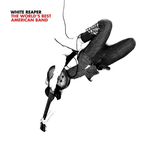 Pochette de The World's Best American Band