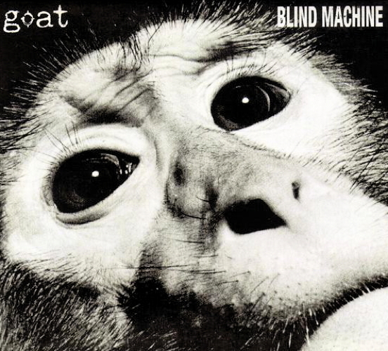 Pochette de Blind Machine