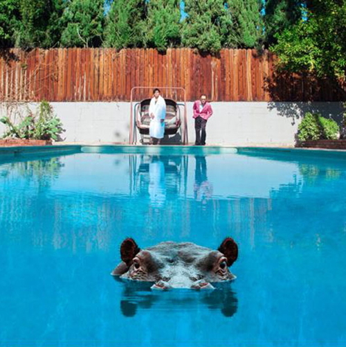 Pochette de Hippopotamus