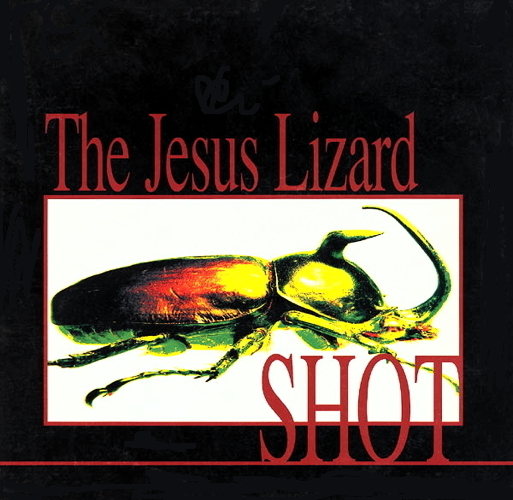 Shot
