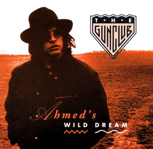 Pochette de Ahmed's Wild Dream