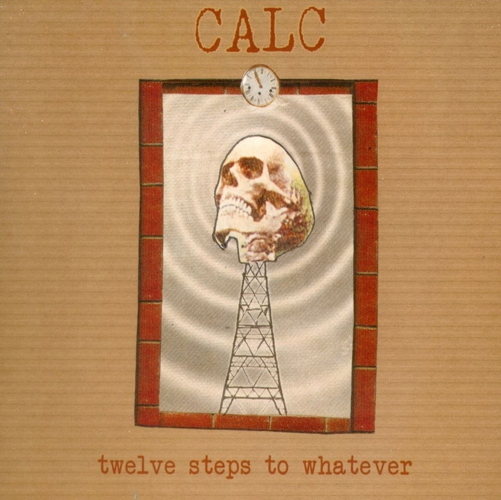 Twelve Steps To Whatever