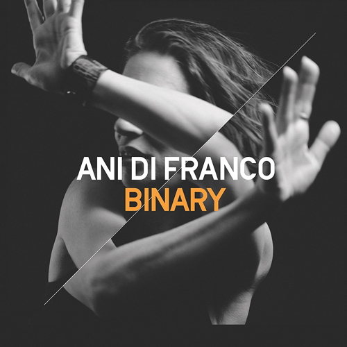 Pochette de Binary