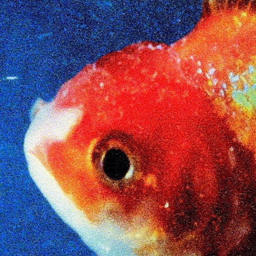 Pochette de Big Fish Theory