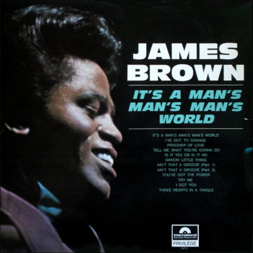 Pochette de It's A Man's Man's Man's World