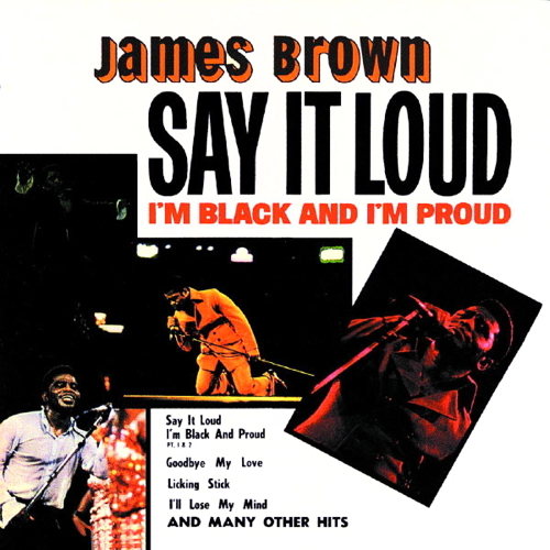 Say It Loud I'm Black And I'm Proud