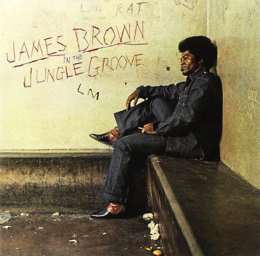 In The Jungle Groove
