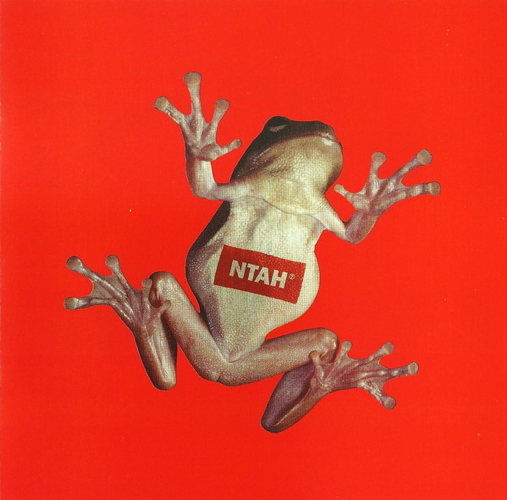 Pochette de Never Trust A Hippy
