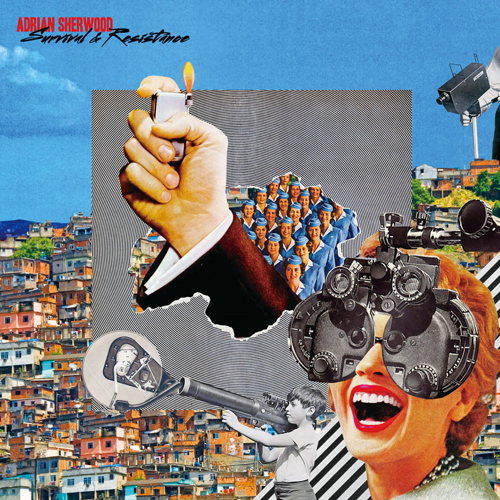 Pochette de Survival & Resistance