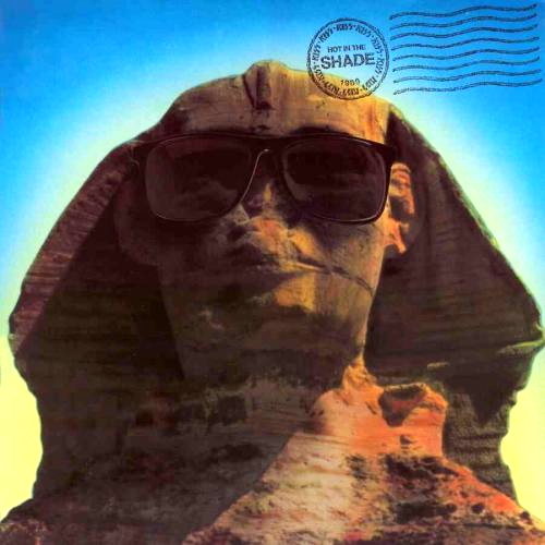 Pochette de Hot In The Shade