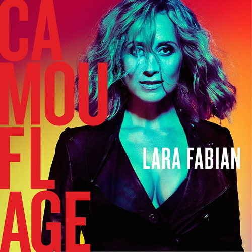 Pochette de Camouflage