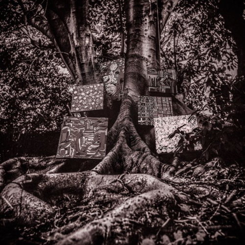 Pochette de Harmony Of Difference