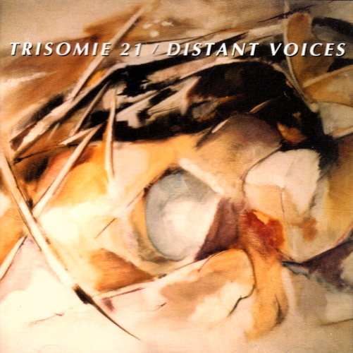 Pochette de Distant Voices