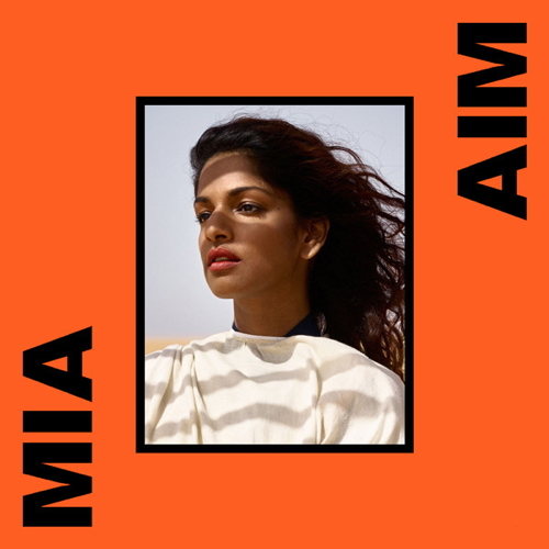Pochette de AIM