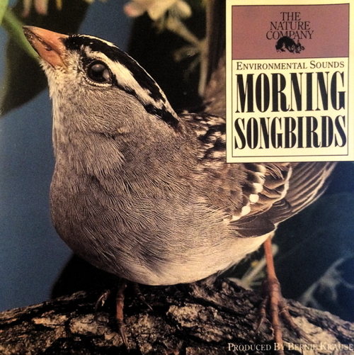 Morning Songbirds