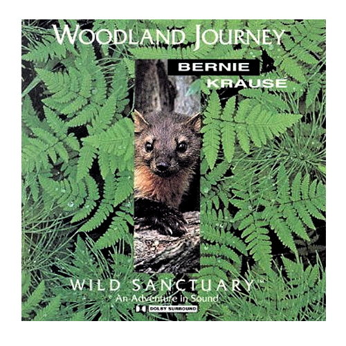 Woodland Journey
