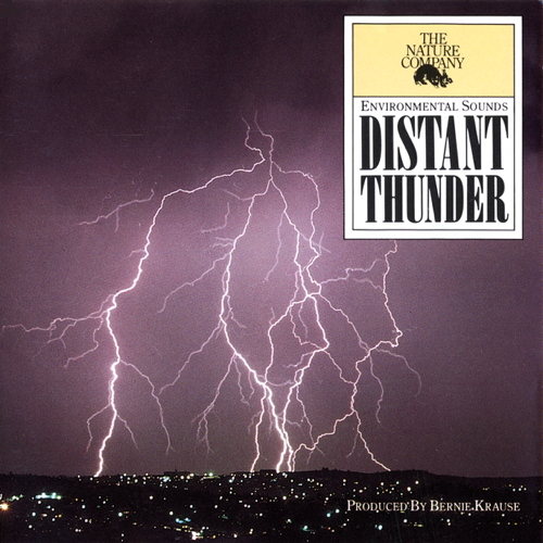 Pochette de Distant Thunder