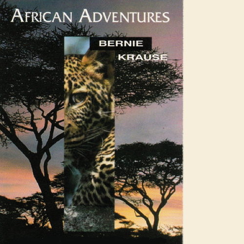 Pochette de African Adventures