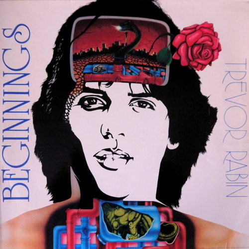 Pochette de Beginnings