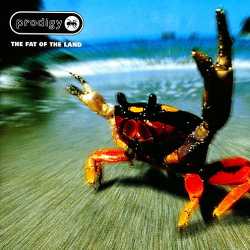 Pochette de The Fat Of The Land