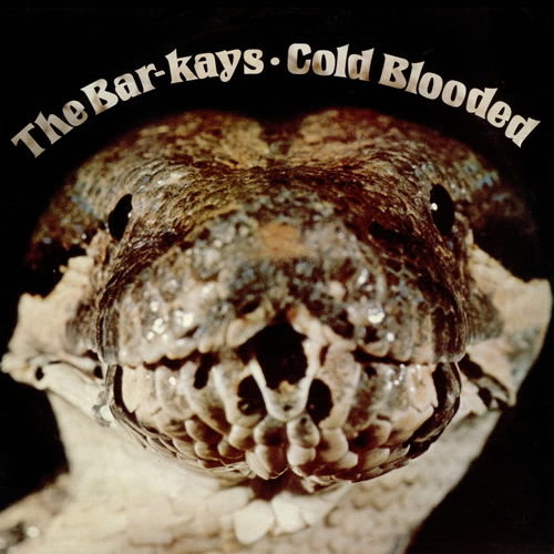 Pochette de Coldblooded