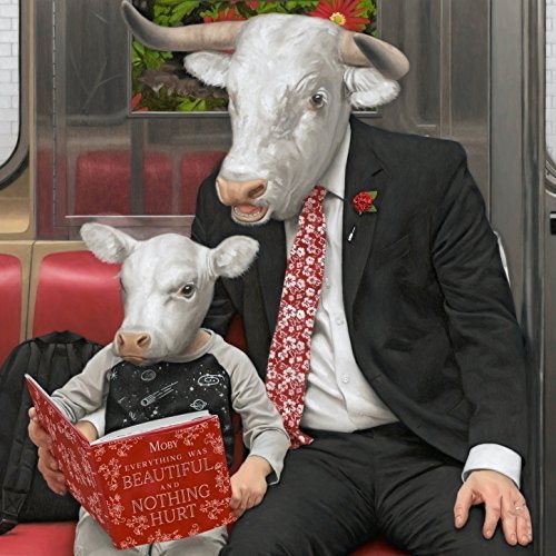 Pochette de Everything Was Beautiful