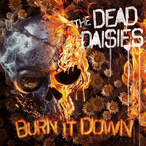 Pochette de Burn It Down