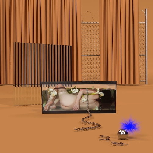 Pochette de Basic Behaviour