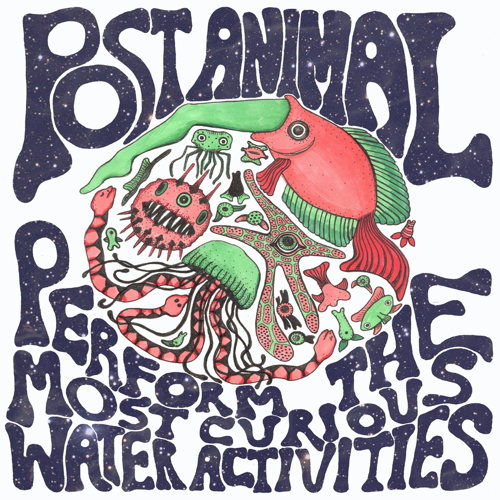 Post Animal Perform The Most Curious Water Activities