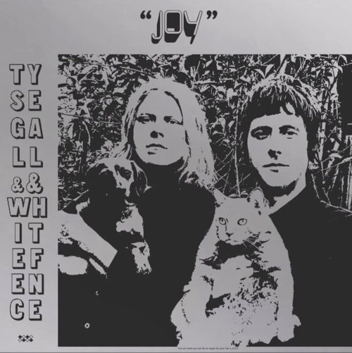 Pochette de Joy