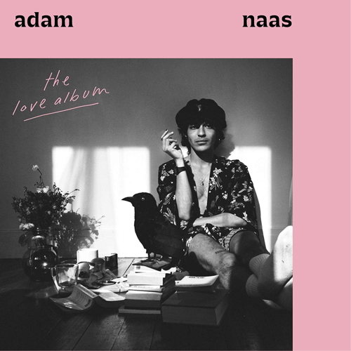 Pochette de The Love Album