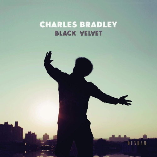 Pochette de Black Velvet