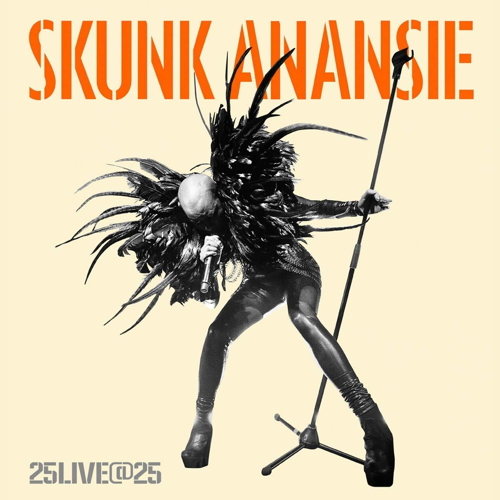 Pochette de 25Live@25
