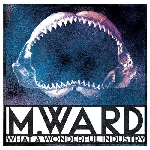 Pochette de What A Wonderful Industry