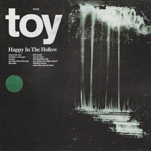 Pochette de Happy In The Hollow